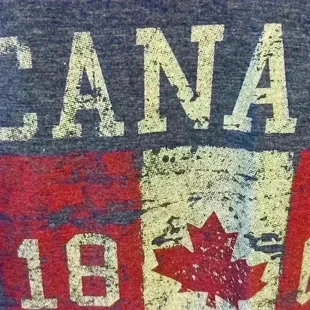 Men's small Canada Niagara Falls distressed grey teeshirt - Picture 2 of 6